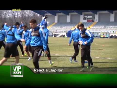 Reacția „lupilor”