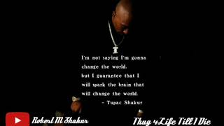 2Pac ft Outlawz - Hell 4 A Hustler (Best Video)