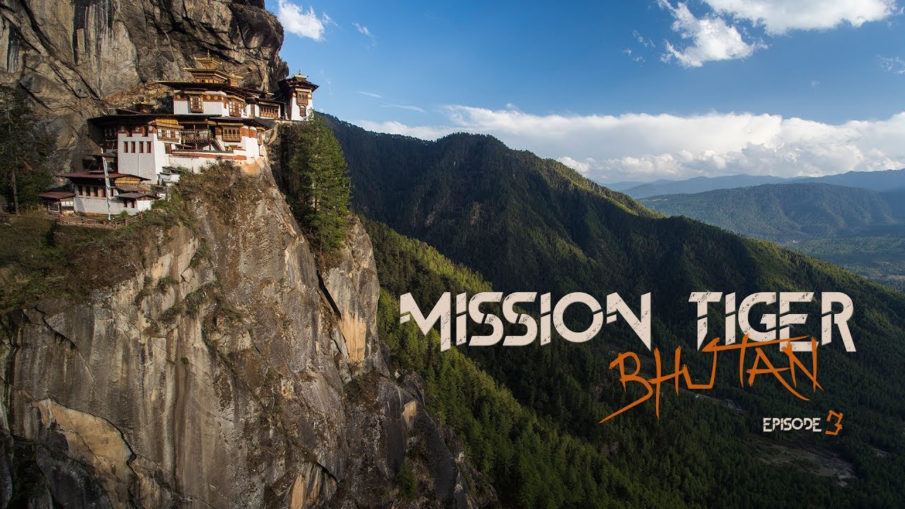 Épisode 3 : Tigres ailés #MissionTigerBhutan