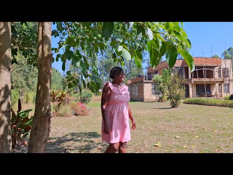 Loosing everything I worked so hard for right before my eyes | Baking | Life in the countryside 