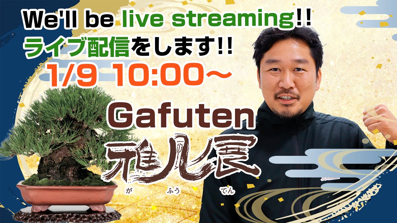 2026 雅風展-ライブ配信 Gafu Bonsai Exhibition 2026 Live Streaming