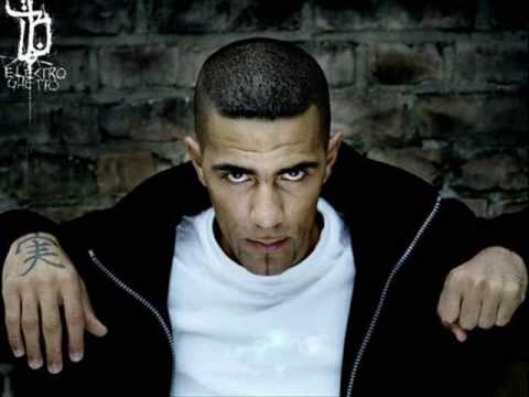 Fler Check Mich Aus RMX feat Chakuza & Bushido