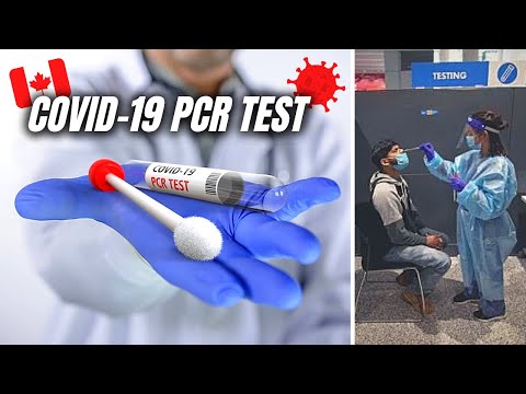 , title : 'How To Book COVID 19 PCR Test in Canada 🧪 FlyClear by LifeLabs Tutorial 2023'