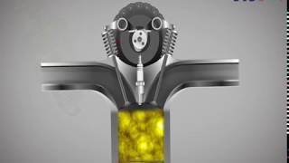 TVS Motor - Spark Plug