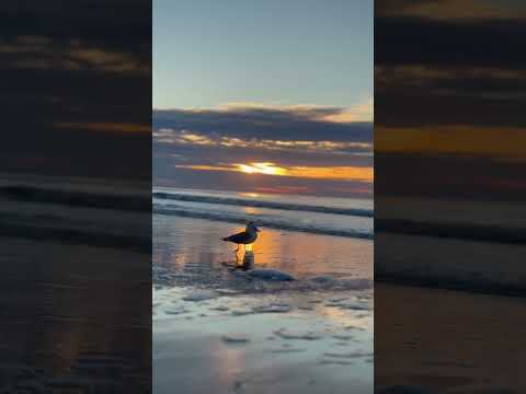 Sunrise @ mrtyle beach