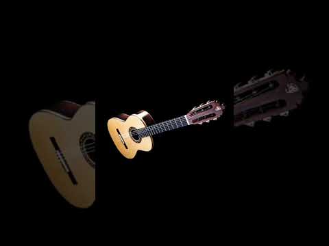 Ariel Martinez y su guitarra general Alvear Mendoza Argentina 