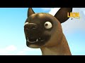 It S A Dog S Life Leon The Lion 25 Compilation Crazy Animals