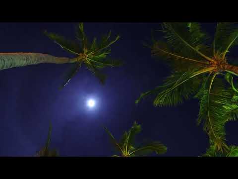 Kreative Nativez & Dr Feel - Ungubani