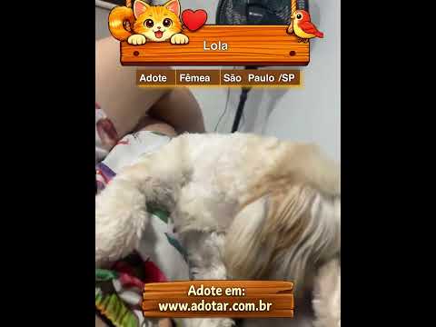 Vídeo de Lola