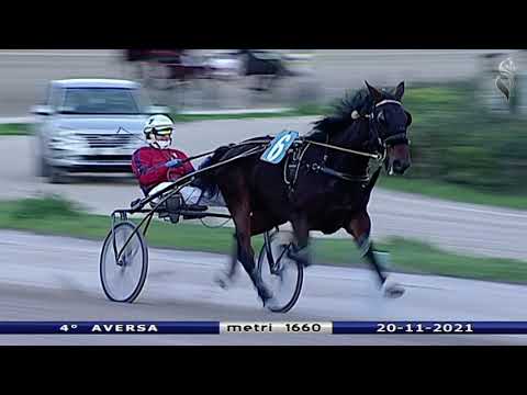 Aversa trotto 20 Novembre 2021 - 4° Corsa