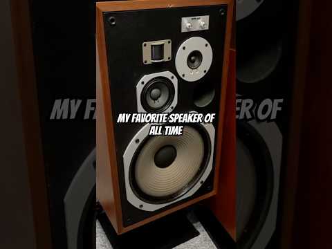 If You Find These Vintage Speakers… Buy Them! (I did and…)