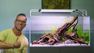 George Farmer - poradnik aquascapingu