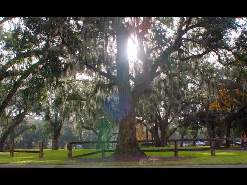 download lagu mp3 mp4 St Simons Land Trust, download lagu St Simons Land Trust gratis, unduh video klip Download St Simons Land Trust Mp3 dan Mp4 Popular Gratis