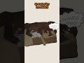 Frisk's Midnight Problem With Chara - Undertale Comic Dub #undertalememe #deltarunememes