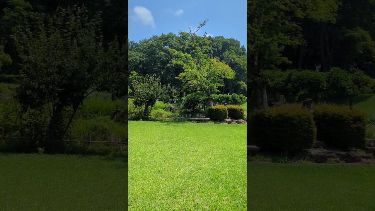 YouTube Short thumbnail