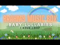 Brahms Music Box Lullaby- Baby Lullabies (1 Hour Loop)