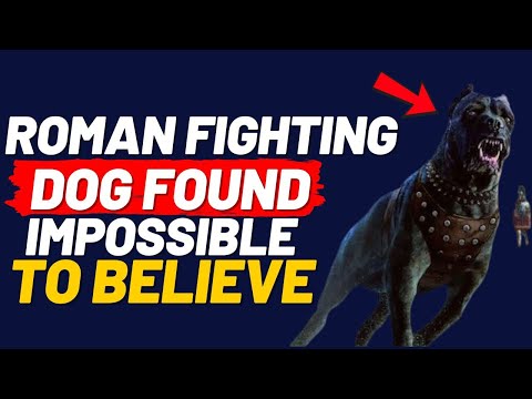 ENTHÜLLT! Das Geheimnis von CANIS PUGNAX: Der Kriegshund, der Rom vor der Zerstörung rettete! (DO...