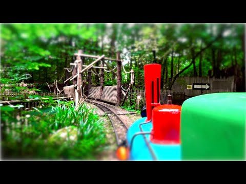 Berenboemel HYPERLAPSE HOLLAND Dierenpark Amersfoort