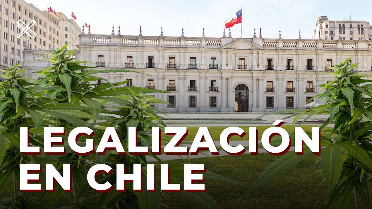 Nueva LEY contra la M*RIHU*NA: qué cambió y qué riesgos corres