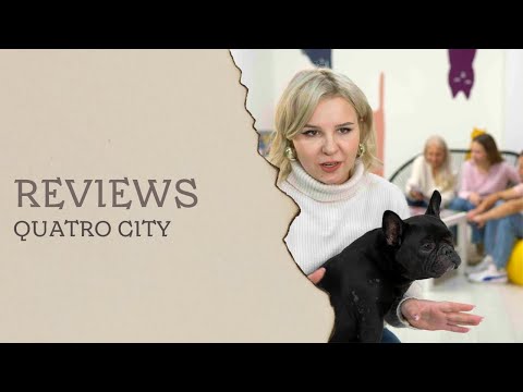 Solving the Ultimate Detective Puzzle-Quest: A Review