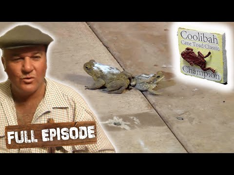 It's The Coolibah Cane Toad Classic! 🐸 | Keeping Up With The Joneses S01E15 | Full Episode | Untamed