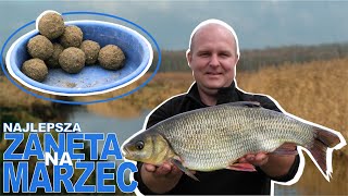 Najlepsza zanęta na marzec