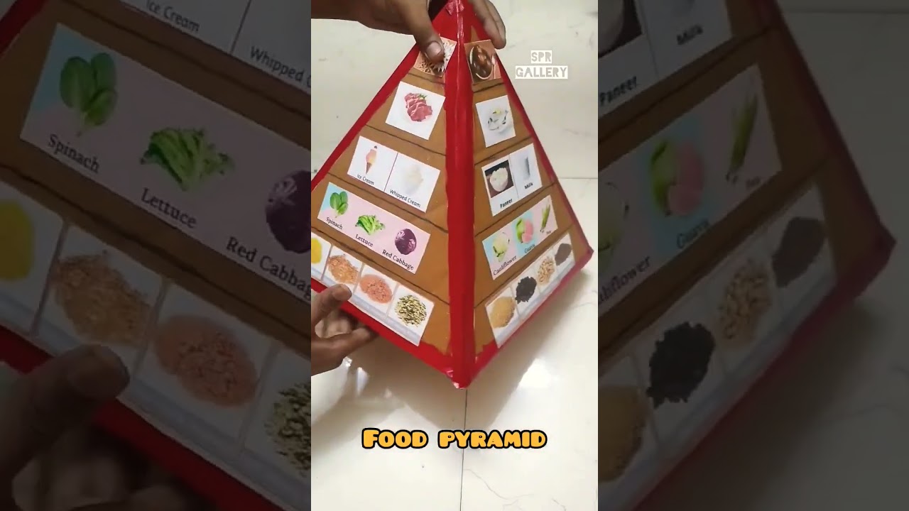#Food #Pyramid #Model #school #project pyramid chart #shorts #youtubeshorts #viralvideo #papercrafts