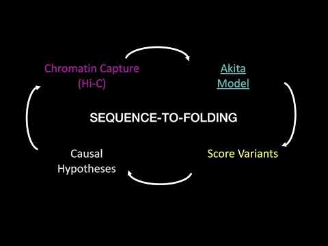 Kipoi Seminar - Katherine Pollard, Gladstone Institute of Data Science & Biotechnology, UCSF, Biohub