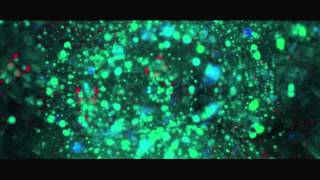 Frankie Rose - Night Swim