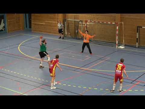 Tyresö Handboll Tyrold - Skogås HK, 27-25, Herr 2 Östra i Slottshallen 20200107