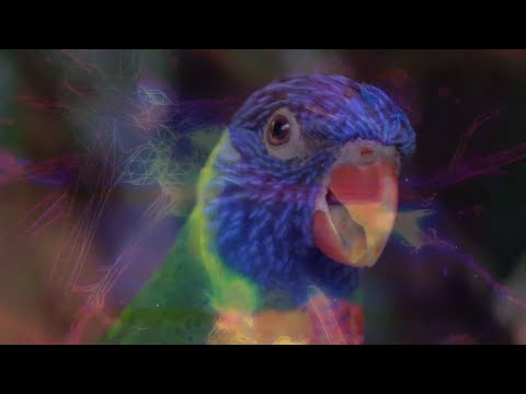 Space Jesus - HMU (Visual Mix)