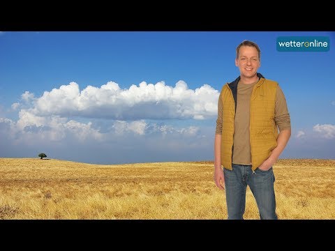 Drought continues (11.08.2018)