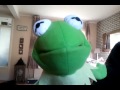 Kermit Somebody That I Used To Know