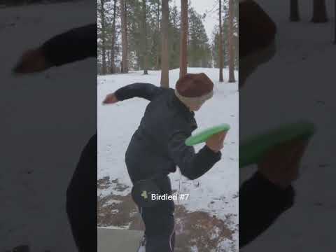 Just puttering around in the morning round. #discgolf #humor #winterdiscgolf