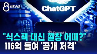 "식스팩 대신 깔창 어때?"…116억 들여 '공개 저격' / SBS 8뉴스