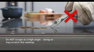 Thermador Glass Scraper for Induction & Electric Cooktops Other 17000334 Picture