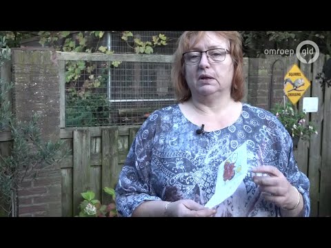 Gelderland Helpt 10 november 2019