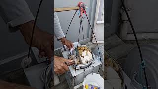 Download lagu Jajan cuanki Mie #jajanan #bandung #streetfood mp3 Download lagu Jajan cuanki Mie #jajanan #bandung #streetfood mp3