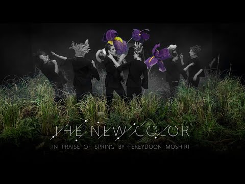 The New Color (Maziar Atrian - Hamed Faghihi) - Official MV | رنگ نو (مازیار عطریان - حامد فقیهی)