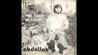 Abdallah Geahel - Wild Hawk