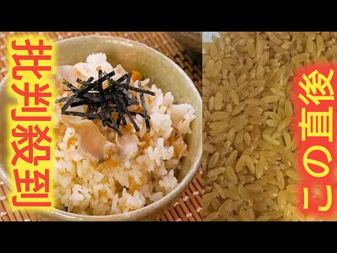 【斬新】中国で“ジャガイモ米”開発　米高騰の救世主となるか　1kg700円で割高も…SNS「1度は食べてみたい」