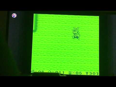 Crazy Glitch in Super Mario Land 2
