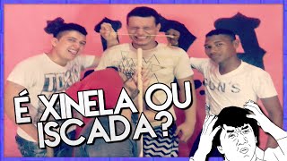 TAG || É XINELA OU ISCADA? || Tô Nem Aí!