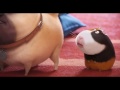 Sky Broadband The Secret Life Of Pets Switch Squad