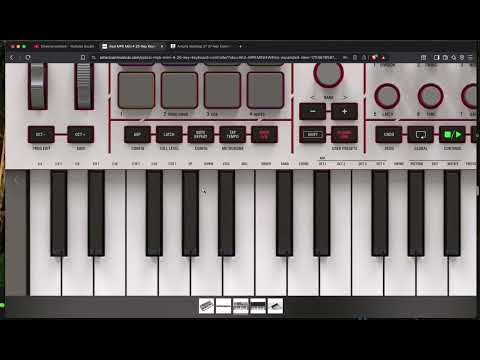 Akai Mpk Mini 4...I tried one in Guitar Center. My thoughts from owning many midi keyboards