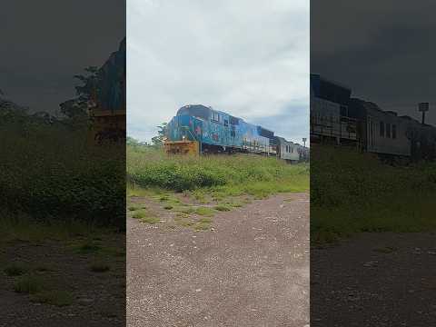 EMD SD70M 733 na pintura do autismo comandando o P-021 em Arari-MA