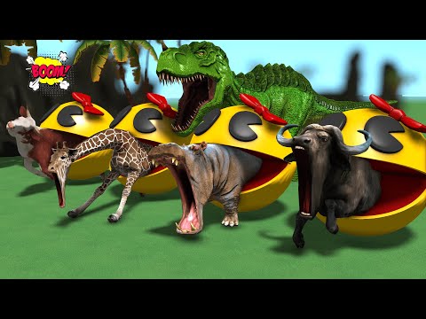Dinosaur, Cow, Buffalo, Giraffe, Hippo Vs Pac Man