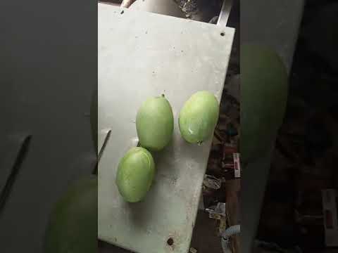 mango 🥭 cutting #short#video supriyo Blog 👈