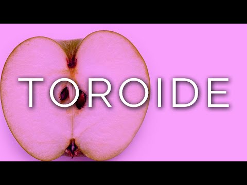 1037-IT Lucas, TOROIDE - Ipnosi Esoterica ∞ Lucio Carsi