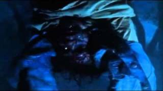 PunkinHed Pumpkinhead - Boondox (Music Video)